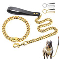19mm Wide Gold Dog Chain Collar