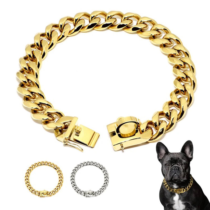 19mm Wide Gold Dog Chain Collar