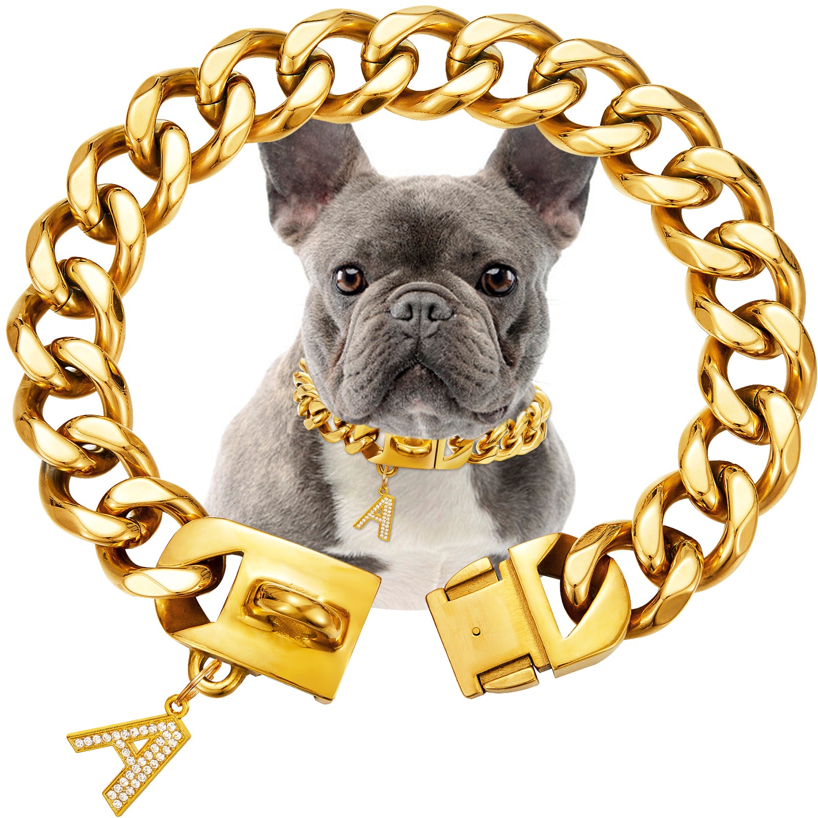 23mm Wide Gold Dog Chain Cubn Link Dog Collar