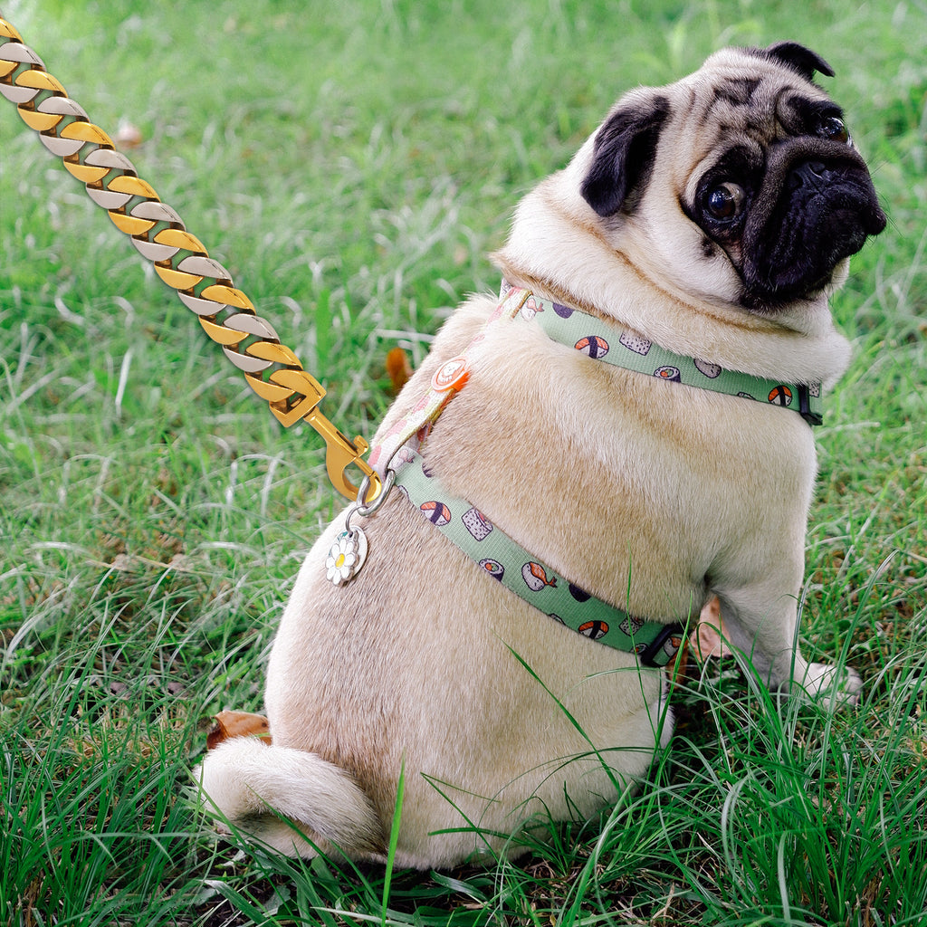 32MM Wide Gold Silver Chain Leash