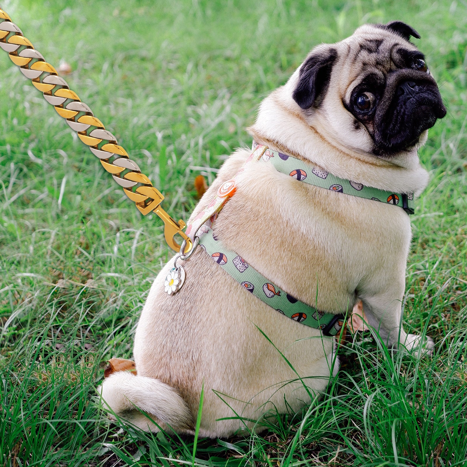 32MM Wide Gold Silver Chain Leash