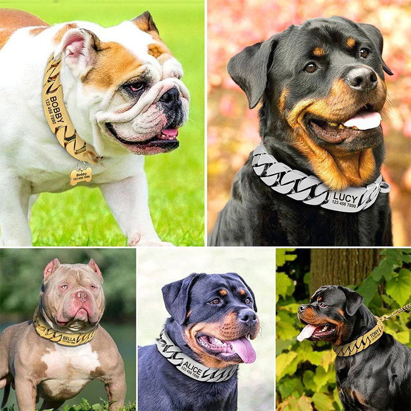 Custom Logo  32mm Gold Dog Chain Collar for Large Dogs  Pit Bull