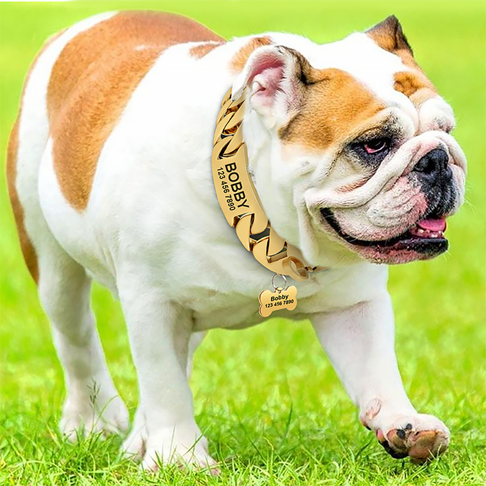 Custom Logo  32mm Gold Dog Chain Collar for Large Dogs  Pit Bull