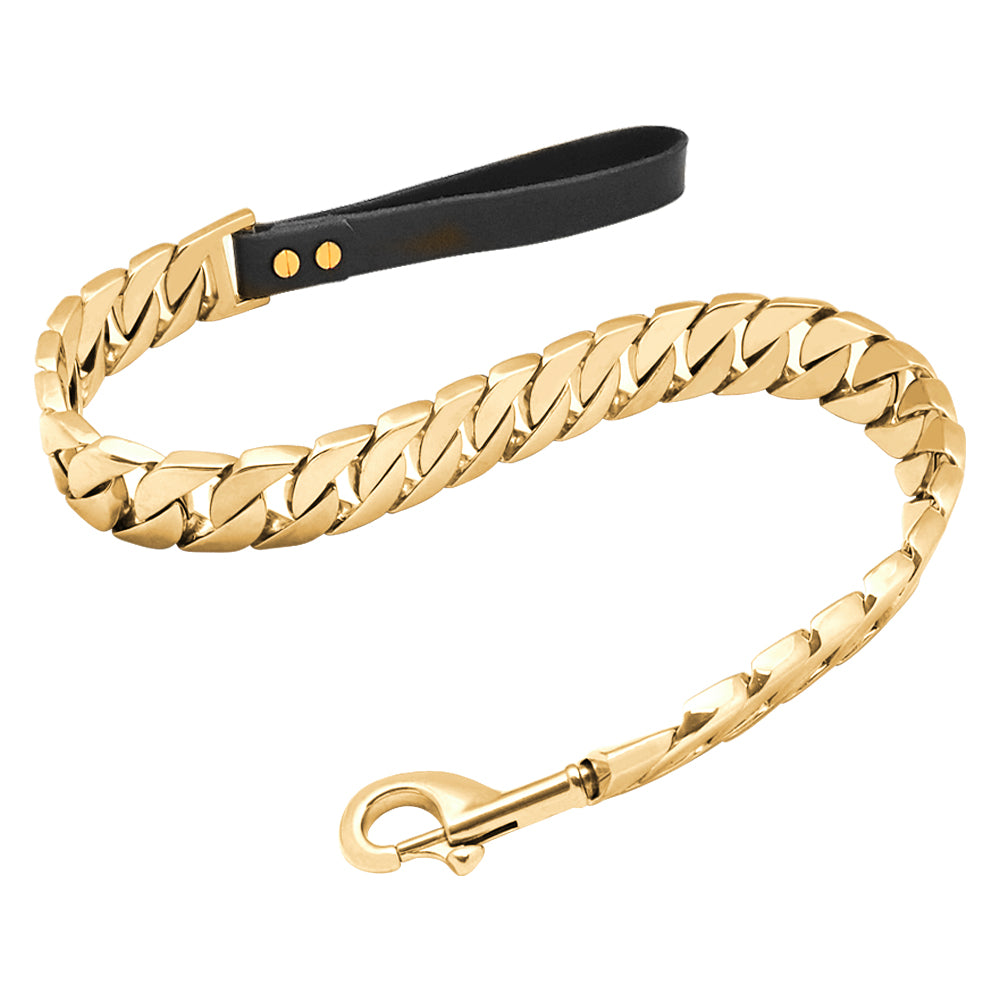 Gold Dog Chain Leash