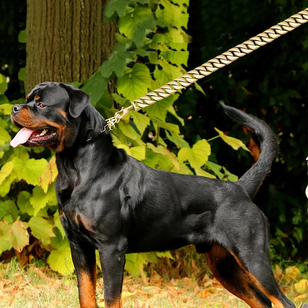 Gold Dog Chain Leash