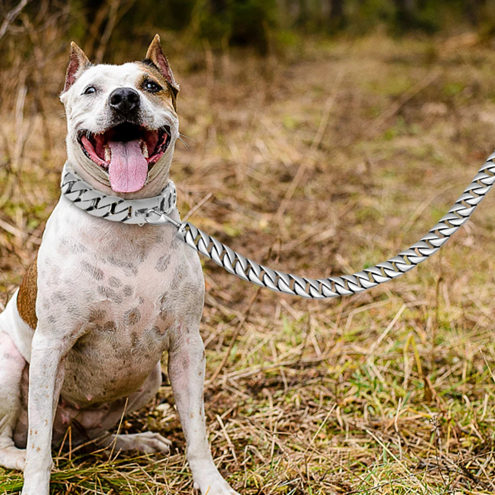 Gold Dog Chain Leash