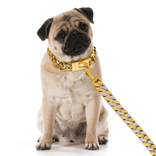 32MM Wide Gold Silver Chain Leash