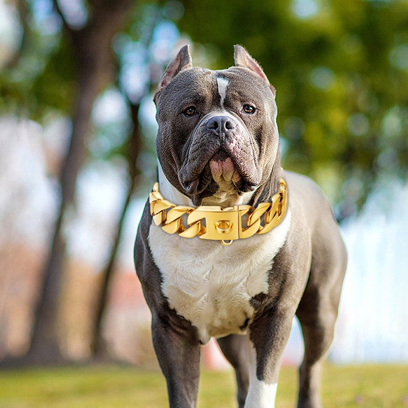 Cuban Link Gold Dog Collar 1.75inc Wide 18k Gold Plated