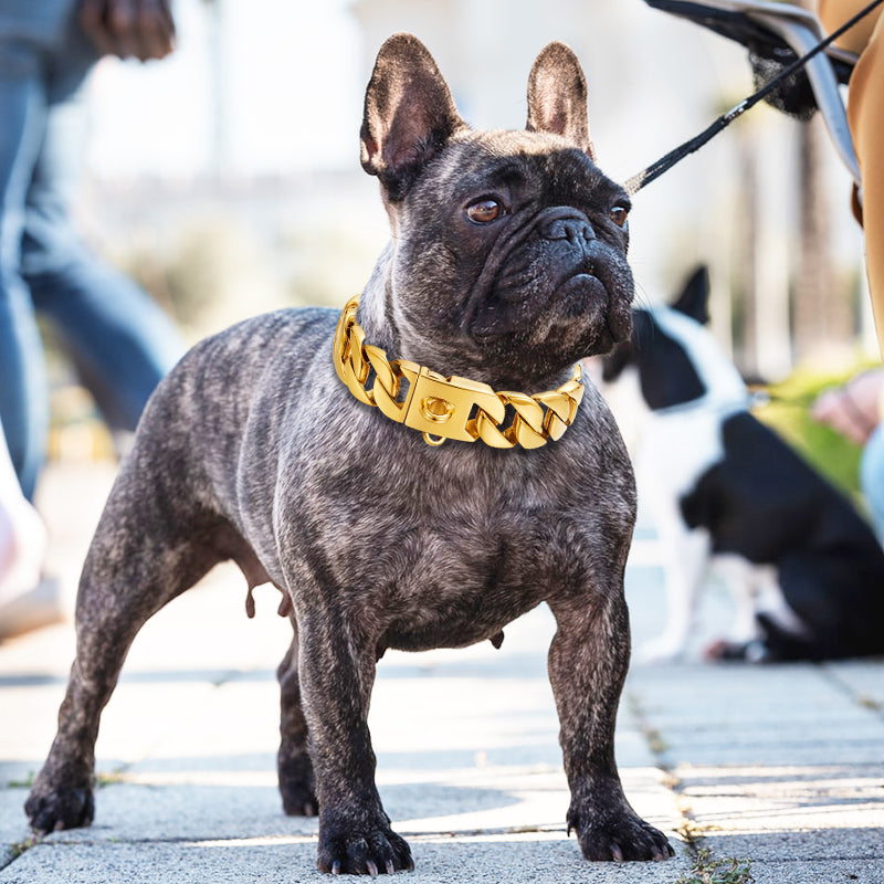 32mm Gold Dog Chain for Big Dogs
